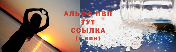 PSILOCYBIN Бородино