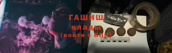 PSILOCYBIN Бородино