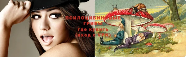 ПСИЛОЦИБИНОВЫЕ ГРИБЫ Богородск