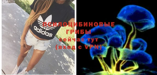 PSILOCYBIN Бородино