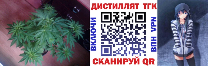 ТГК концентрат  Кирово-Чепецк 