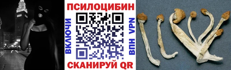blacksprut зеркало  где купить   Кирово-Чепецк  Галлюциногенные грибы Magic Shrooms 